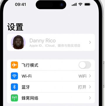 武胜appleID维修服务iPhone设置中Apple ID显示为灰色无法使用 