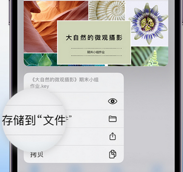 武胜apple维修中心分享iPhone文件应用中存储和找到下载文件