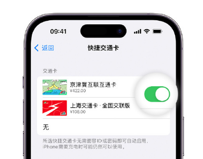 武胜apple维修点分享iPhone上更换Apple Pay快捷交通卡手绘卡面 