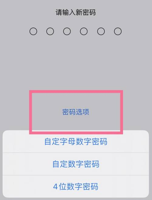 武胜苹果14维修分享iPhone 14plus设置密码的方法 