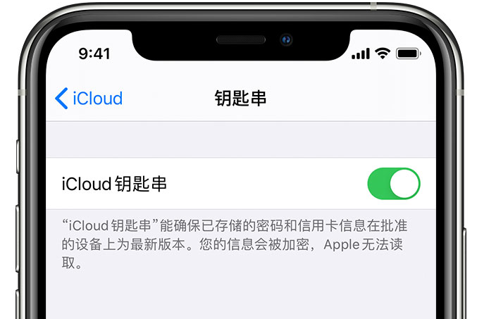 武胜苹果手机维修分享在 iPhone 上开启 iCloud 钥匙串之后会储存哪些信息 