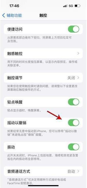 武胜苹果手机维修分享iPhone手机如何设置摇一摇删除文字 